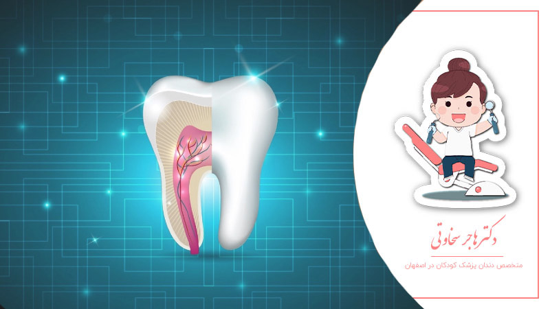 کانال دندان چیست